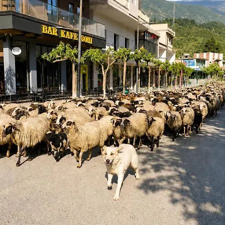 Tatil Evi Albseina *